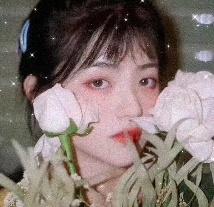 蓼云仙